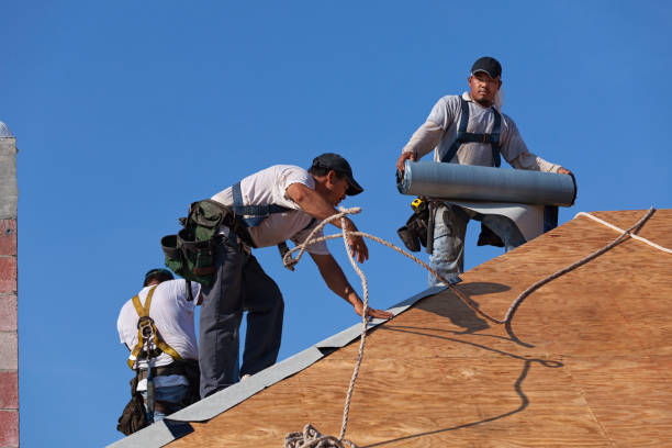Best Metal Roofing Contractor  in Randleman, NC